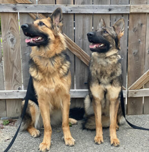 Mila and Kya gallery